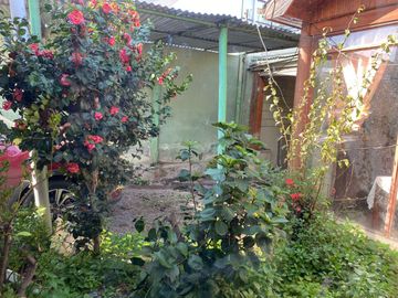 Amplio Terreno Con Casa Quinta!