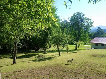 CASA ENTRE PUCON Y CURARREHUE EN 10.000 M2 DE TERRENO