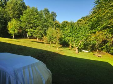 CASA ENTRE PUCON Y CURARREHUE EN 10.000 M2 DE TERRENO