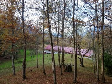 CASA ENTRE PUCON Y CURARREHUE EN 10.000 M2 DE TERRENO