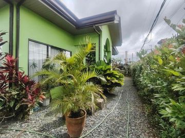 bungalow house and lot