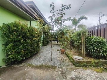 bungalow house and lot