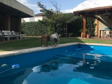 IMPONENTE CASA A LA VENTA. 3 DORM – 4 BAÑOS – COCHERA DOBLE – PILETA – QUINCHO. B° CERRO DE LAS ROSAS