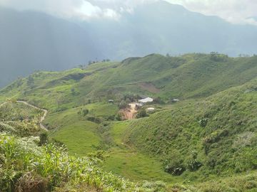Venta Finca Ganadera Lechera Yarumal (El Cedro) Antioquia