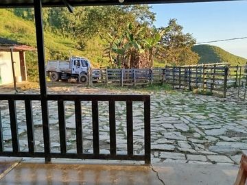 Venta Finca Ganadera Lechera Yarumal (El Cedro) Antioquia