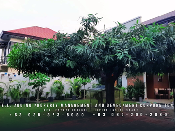 2 Properties - Furnished Bungalow and 2 Storey with Huge Parking Lot for Sale in Telabastagan San Fernando Pampanga