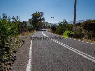 Venta de Terrenos en Punitaqui de 3.5 y 2.5 hectáreas. $170 y $60 millones