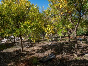 Venta de Terrenos en Punitaqui de 3.5 y 2.5 hectáreas. $170 y $60 millones