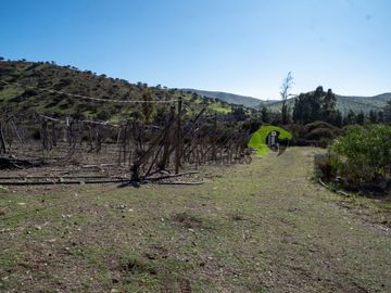 Venta de Terrenos en Punitaqui de 3.5 y 2.5 hectáreas. $170 y $60 millones