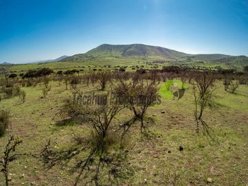 Venta de Terrenos en Punitaqui de 3.5 y 2.5 hectáreas. $170 y $60 millones