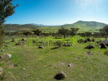 Venta de Terrenos en Punitaqui de 3.5 y 2.5 hectáreas. $170 y $60 millones