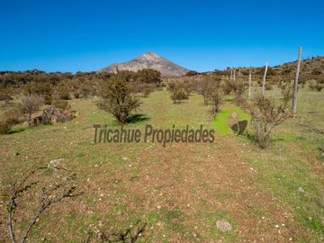 Venta de Terrenos en Punitaqui de 3.5 y 2.5 hectáreas. $170 y $60 millones