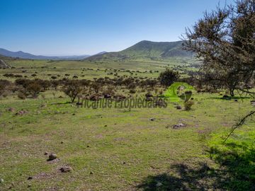 Venta de Terrenos en Punitaqui de 3.5 y 2.5 hectáreas. $170 y $60 millones