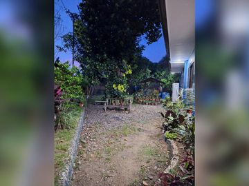 Serene Charm Elegant Blue Bungalow on a Spacious Lot