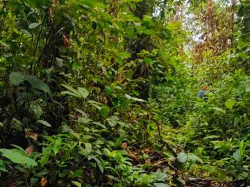 De Venta, complejo turístico de 76000 mts2