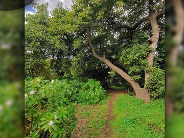 Terreno urbano de 3.000 m2 a orilla de camino, ubicado en Avenida Santa Cruz