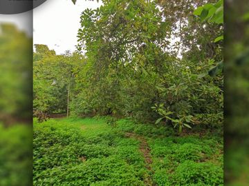 Terreno urbano de 3.000 m2 a orilla de camino, ubicado en Avenida Santa Cruz