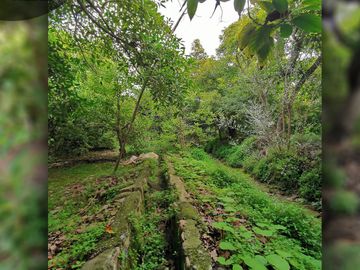 Terreno urbano de 3.000 m2 a orilla de camino, ubicado en Avenida Santa Cruz