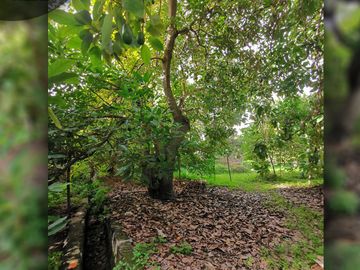 Terreno urbano de 3.000 m2 a orilla de camino, ubicado en Avenida Santa Cruz