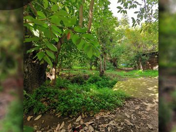 Terreno urbano de 3.000 m2 a orilla de camino, ubicado en Avenida Santa Cruz