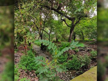 Terreno urbano de 3.000 m2 a orilla de camino, ubicado en Avenida Santa Cruz