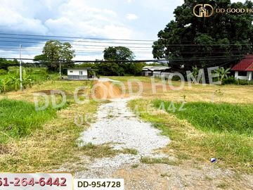 DD-954728 Land in Lamphun City, 1 rai 236 sq w, Lamphun, near Global House