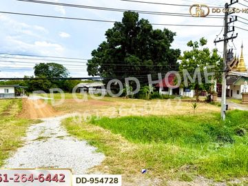 DD-954728 Land in Lamphun City, 1 rai 236 sq w, Lamphun, near Global House