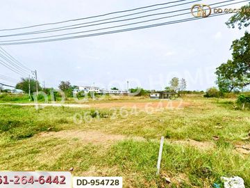 DD-954728 Land in Lamphun City, 1 rai 236 sq w, Lamphun, near Global House