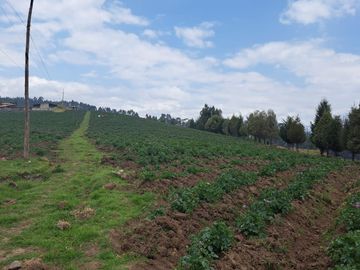 HERMOSA FINCA UBICADA EN CAYAMBE EN VENTA