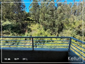 Depto. En Venta / Av. Pedro De Valdivia / Concepción