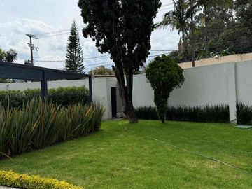 DEPARTAMENTO TORALMENTE AMUEBLADO EN CALZADA DE LOS REYES