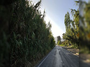 Se vende exclusivo terreno de 5.000 m2 ubicado en sector Pocochay, La Cruz .
