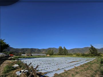Se vende exclusivo terreno de 5.000 m2 ubicado en sector Pocochay, La Cruz .