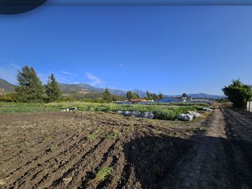 Se vende exclusivo terreno de 5.000 m2 ubicado en sector Pocochay, La Cruz .