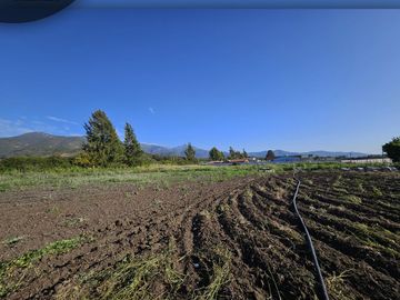 Se vende exclusivo terreno de 5.000 m2 ubicado en sector Pocochay, La Cruz .
