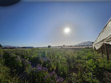 Se vende exclusivo terreno de 5.000 m2 ubicado en sector Pocochay, La Cruz .