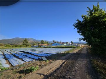 Se vende exclusivo terreno de 5.000 m2 ubicado en sector Pocochay, La Cruz .