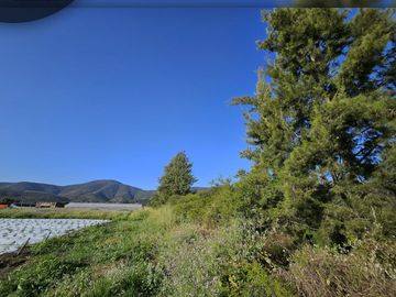 Se vende exclusivo terreno de 5.000 m2 ubicado en sector Pocochay, La Cruz .