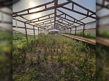 Se vende exclusivo terreno de 5.000 m2 ubicado en sector Pocochay, La Cruz .