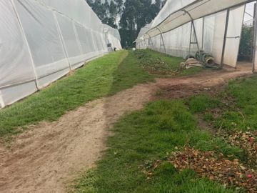 Floricola Premium en Venta Tupigachi
