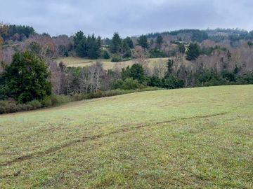 Campo de 109 hectáreas en La Unión, Loncotregua – Región de Los Ríos