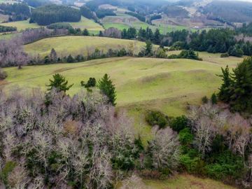 Campo de 109 hectáreas en La Unión, Loncotregua – Región de Los Ríos