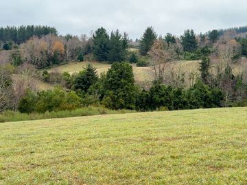 Campo de 109 hectáreas en La Unión, Loncotregua – Región de Los Ríos