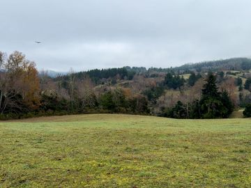 Campo de 109 hectáreas en La Unión, Loncotregua – Región de Los Ríos