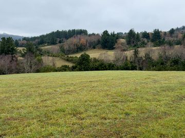 Campo de 109 hectáreas en La Unión, Loncotregua – Región de Los Ríos
