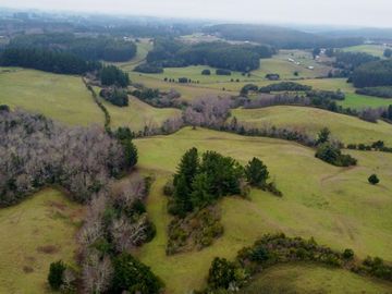Campo de 109 hectáreas en La Unión, Loncotregua – Región de Los Ríos