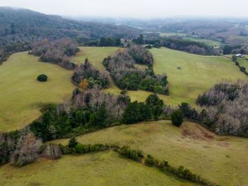 Campo de 109 hectáreas en La Unión, Loncotregua – Región de Los Ríos