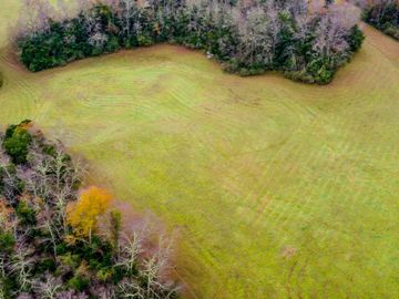 Campo de 109 hectáreas en La Unión, Loncotregua – Región de Los Ríos