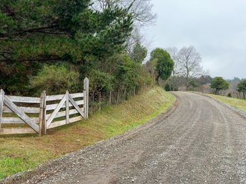 Campo de 109 hectáreas en La Unión, Loncotregua – Región de Los Ríos