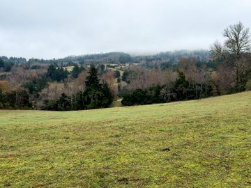 Campo de 109 hectáreas en La Unión, Loncotregua – Región de Los Ríos